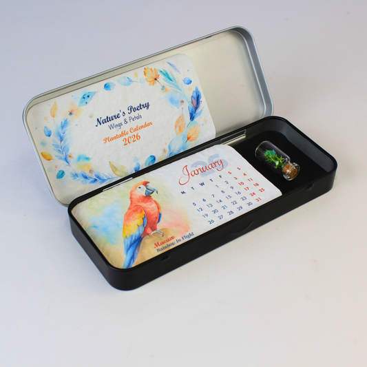 GreenForest Box Calendar – Plantable OCREC012
